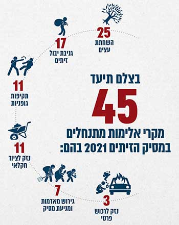 אינפוגרפיקת מסיק1